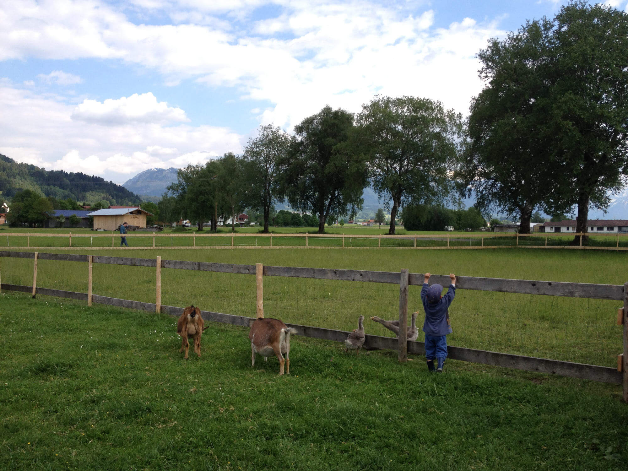 burgberger tierparadies mit kafe kult fotos