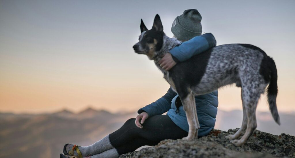 Unterkünfte und Aktivitäten mit Hund im Allgäu